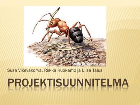Susa Vikeväkorva, Riikka Ruokamo ja Liisa Talus