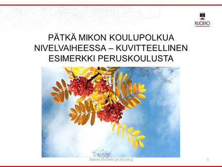 PÄTKÄ MIKON KOULUPOLKUA NIVELVAIHEESSA – KUVITTEELLINEN ESIMERKKI PERUSKOULUSTA Sanna Multala 30.10.2013.