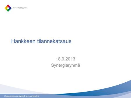 Osaamisen ja sivistyksen parhaaksi Hankkeen tilannekatsaus 18.9.2013 Synergiaryhmä.