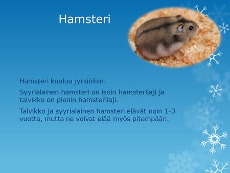 Hamsteri Hamsteri kuuluu jyrsiöihin.