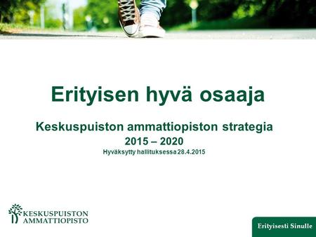 Erityisen hyvä osaaja Keskuspuiston ammattiopiston strategia 2015 – 2020 Hyväksytty hallituksessa 28.4.2015.