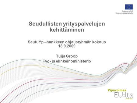 Seudullisten yrityspalvelujen kehittäminen SeutuYp –hankkeen ohjausryhmän kokous 18.9.2009 Tuija Groop Työ- ja elinkeinoministeriö.