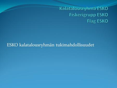 ESKO kalatalousryhmän tukimahdollisuudet. Suomen kalatalousryhmät  Perustettiin 2009  7 ryhmää  200.000 €/vuosi  Rahoittavat yhteishankkeita  5.000.