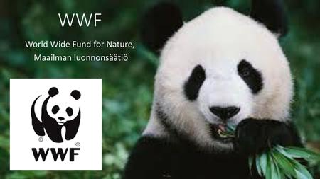 World Wide Fund for Nature, Maailman luonnonsäätiö