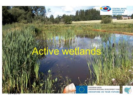 26.4.2013 Active wetlands. 26.4.2013 Active wetlands •Maatalous on merkittävä typpi- ja fosforikuormittaja Itämeren alueella •Kosteikot ovat tunnustettu.