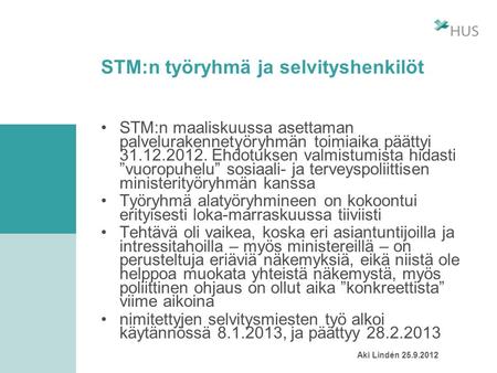 STM:n työryhmä ja selvityshenkilöt