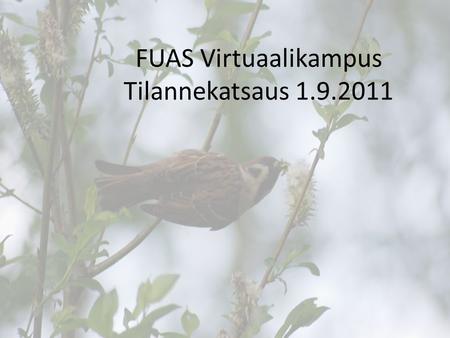 FUAS Virtuaalikampus Tilannekatsaus 1.9.2011. Sisältö • Visiointipäivän 18.5.2011 satoa • ACSI leirin tuloksia • Miten jatketaan eteenpäin.