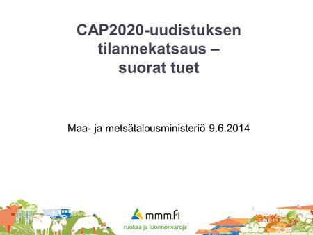 CAP2020-uudistuksen tilannekatsaus – suorat tuet