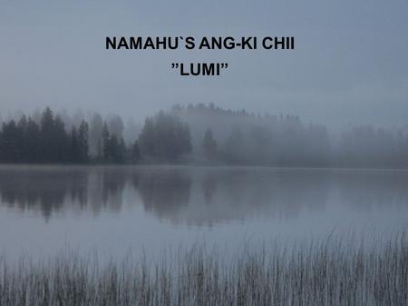 NAMAHU`S ANG-KI CHII ”LUMI”. 17.2.09, elämä edessä.