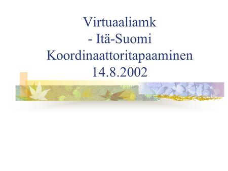 Virtuaaliamk - Itä-Suomi Koordinaattoritapaaminen 14.8.2002.