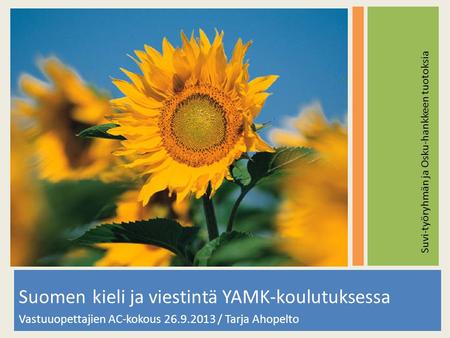 Suomen kieli ja viestintä YAMK-koulutuksessa Vastuuopettajien AC-kokous 26.9.2013 / Tarja Ahopelto Suvi-työryhmän ja Osku-hankkeen tuotoksia.