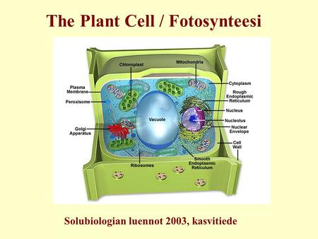 The Plant Cell / Fotosynteesi
