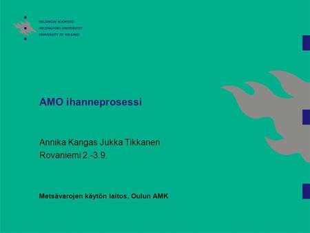 AMO ihanneprosessi Annika Kangas Jukka Tikkanen Rovaniemi 2.-3.9. Metsävarojen käytön laitos, Oulun AMK.