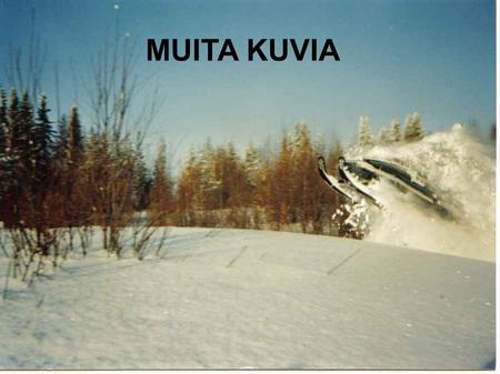 MUITA KUVIA. Jussi ja rankapino Ilmari, Toivo ja suuri hauki toukokuussa 2006.