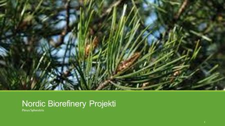 Nordic Biorefinery Projekti