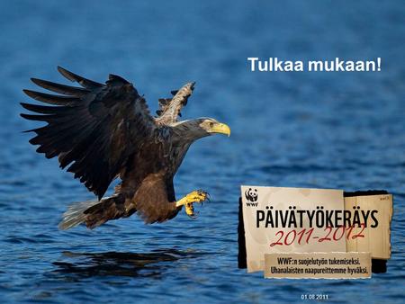 Tulkaa mukaan! WWF01.08.20111. Päivätyökeräys 2011-2012 Ihan lähellä. Sinun ja minun naapurissa. Suomessa on 2247 uhanalaista lajia. Haluammeko säilyttää.