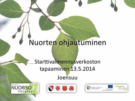 Nuorten ohjautuminen Starttivalmennusverkoston tapaaminen 13.5.2014 Joensuu.