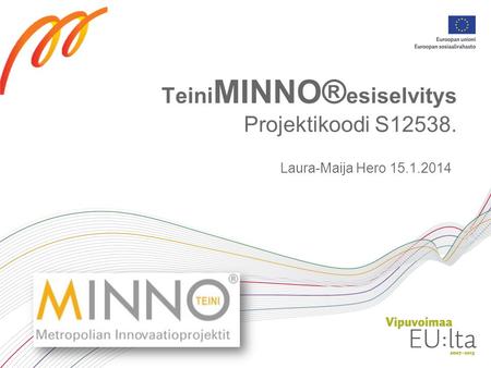 Teini MINNO® esiselvitys Projektikoodi S12538. Laura-Maija Hero 15.1.2014.