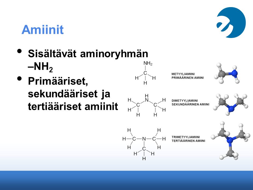 Amiinit Sisältävät aminoryhmän –NH2