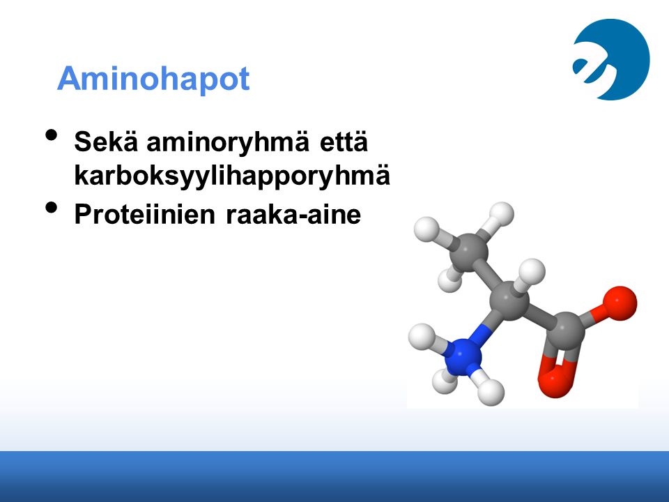 Aminohapot Sekä aminoryhmä että karboksyylihapporyhmä