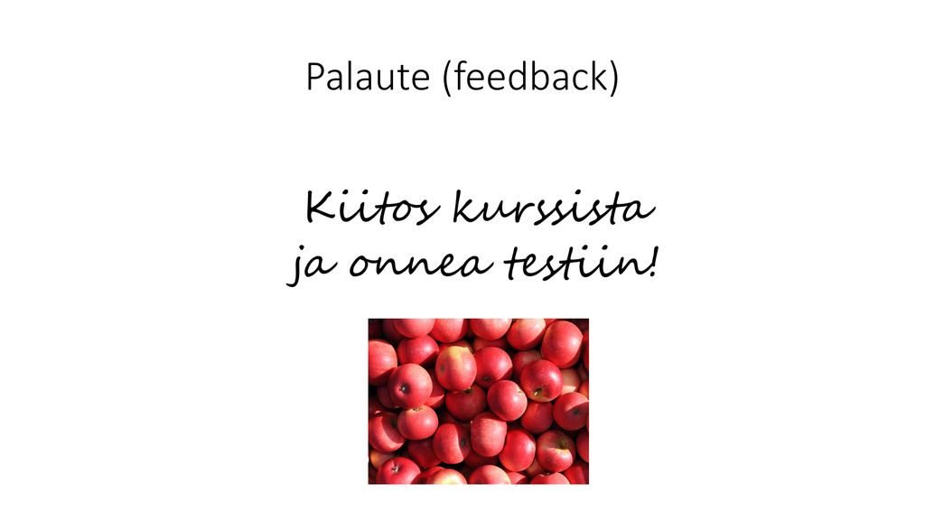 Palaute (feedback)