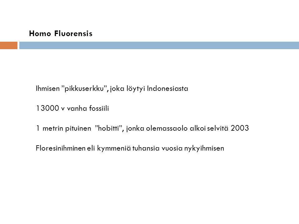 Homo Fluorensis Ihmisen pikkuserkku , joka löytyi Indonesiasta