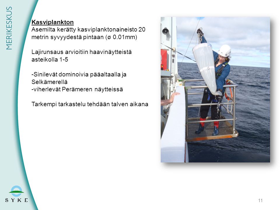 Kasviplankton Asemilta kerätty kasviplanktonaineisto 20 metrin syvyydestä pintaan (ø 0.01mm) Lajirunsaus arvioitiin haavinäytteistä asteikolla 1-5.