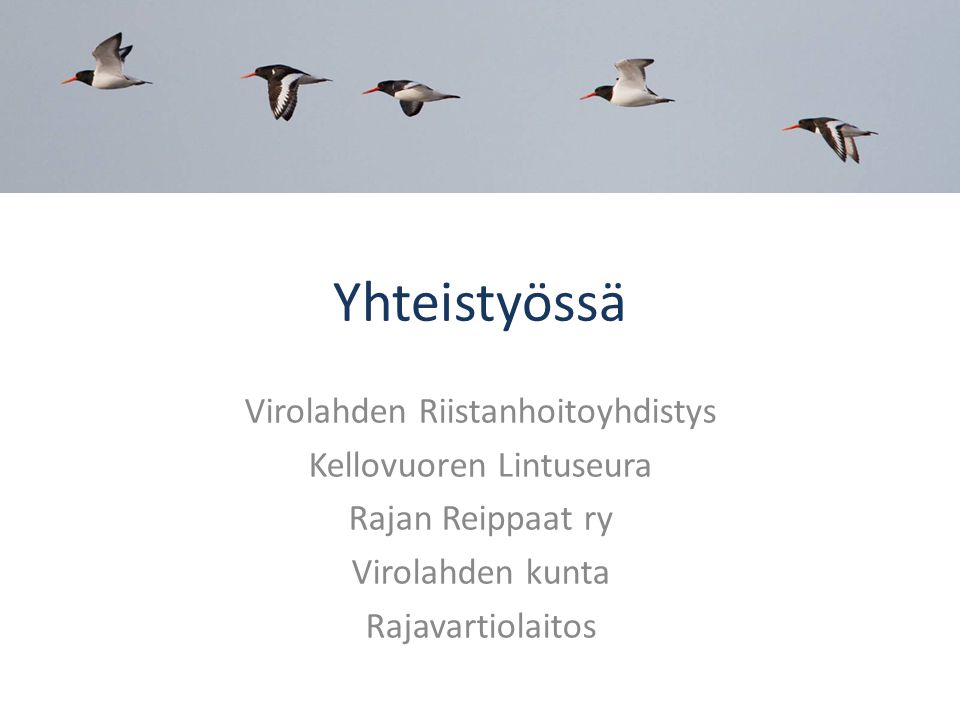 Yhteistyössä Virolahden Riistanhoitoyhdistys Kellovuoren Lintuseura