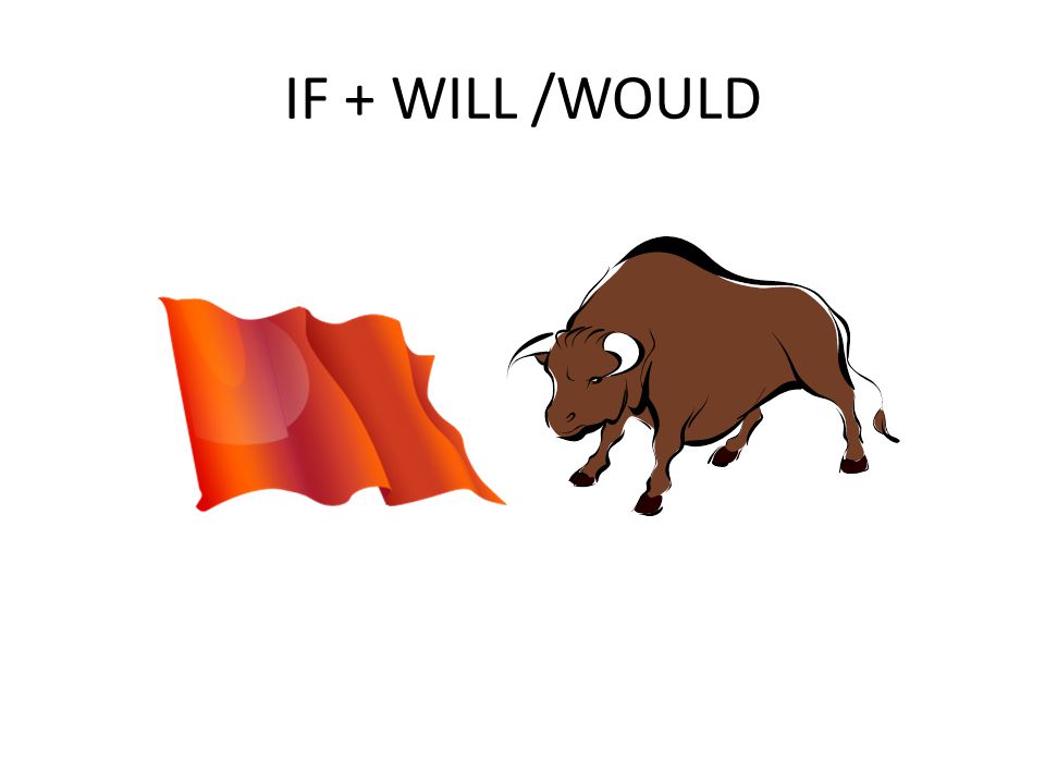 IF + WILL /WOULD