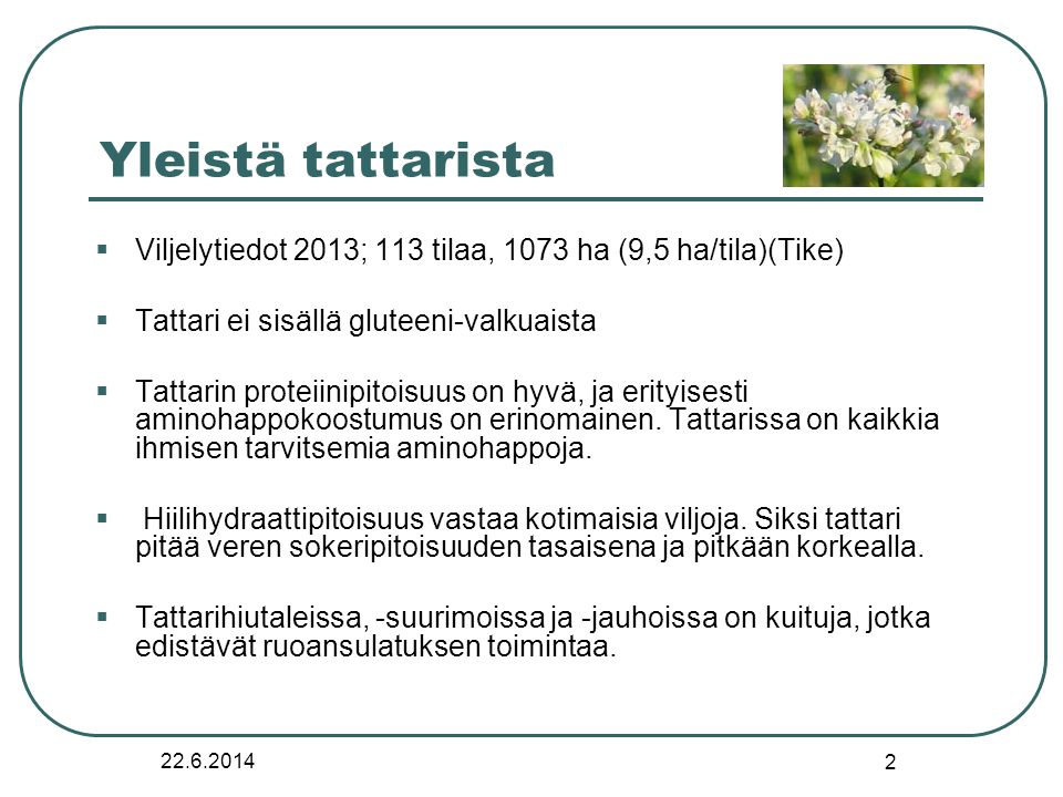 Yleistä tattarista Viljelytiedot 2013; 113 tilaa, 1073 ha (9,5 ha/tila)(Tike) Tattari ei sisällä gluteeni-valkuaista.