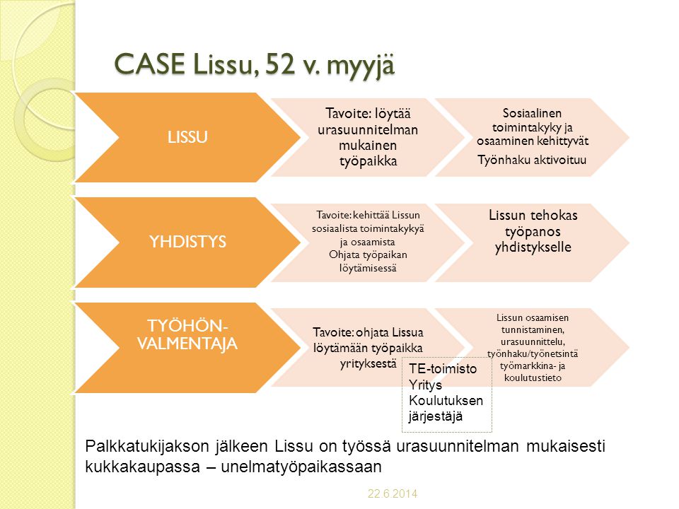 CASE Lissu, 52 v. myyjä LISSU YHDISTYS TYÖHÖN-VALMENTAJA