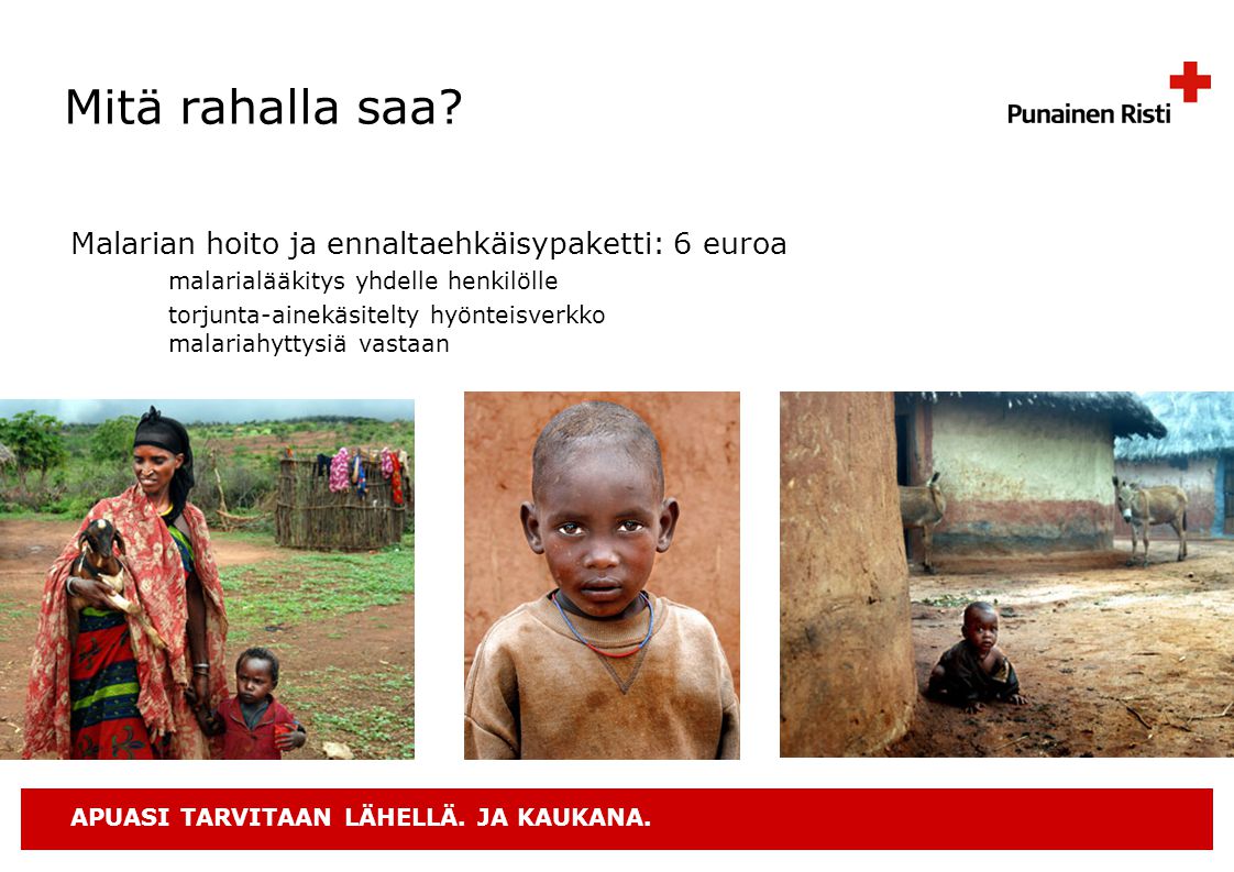 Mitä rahalla saa Malarian hoito ja ennaltaehkäisypaketti: 6 euroa