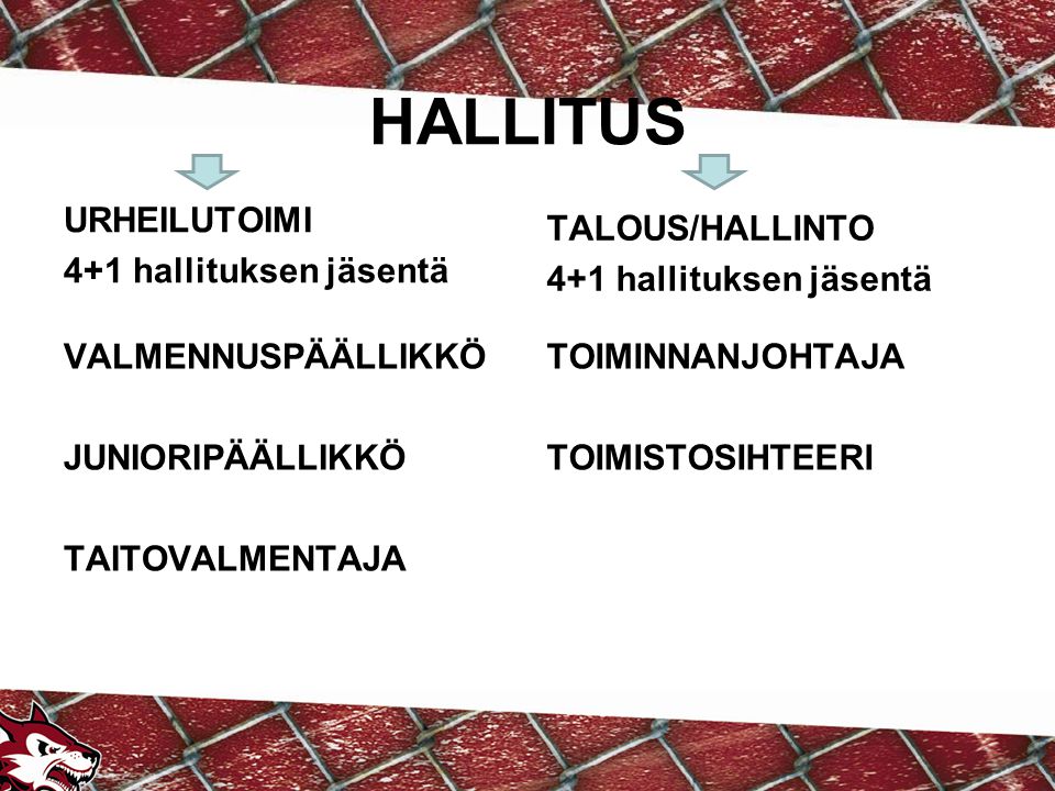 HALLITUS URHEILUTOIMI 4+1 hallituksen jäsentä TALOUS/HALLINTO