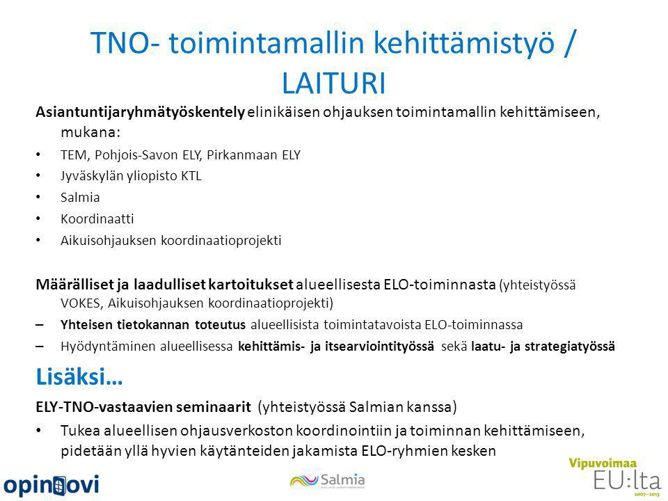 TNO- toimintamallin kehittämistyö / LAITURI