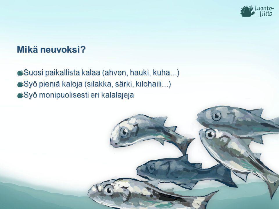 Mikä neuvoksi Suosi paikallista kalaa (ahven, hauki, kuha...)