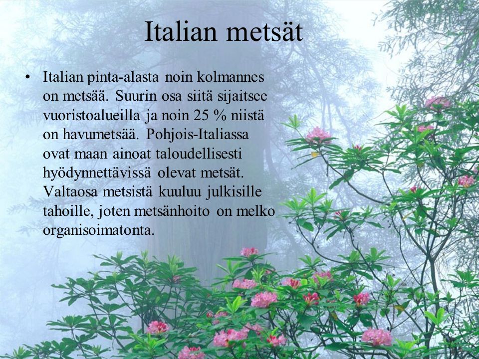 Italian metsät