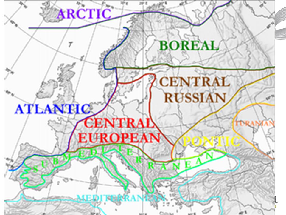 Euroopan kasvillisuusalueet;