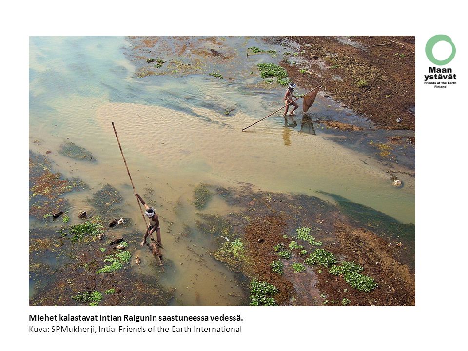 Miehet kalastavat Intian Raigunin saastuneessa vedessä.