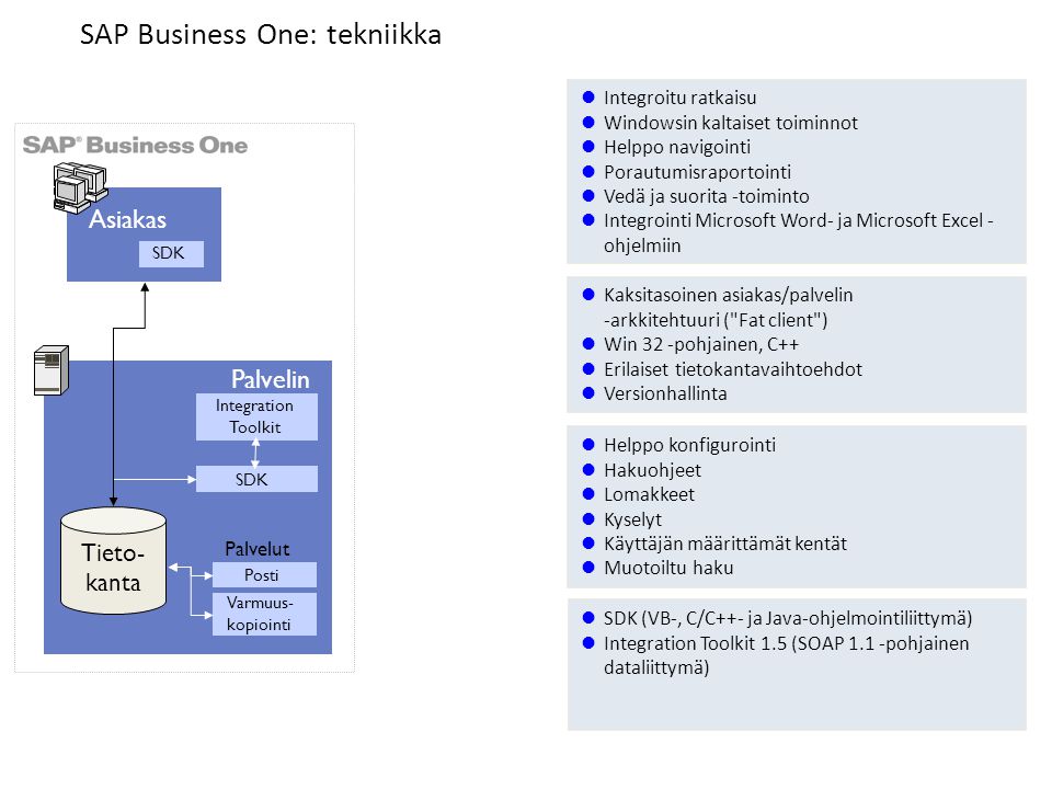 SAP Business One: tekniikka