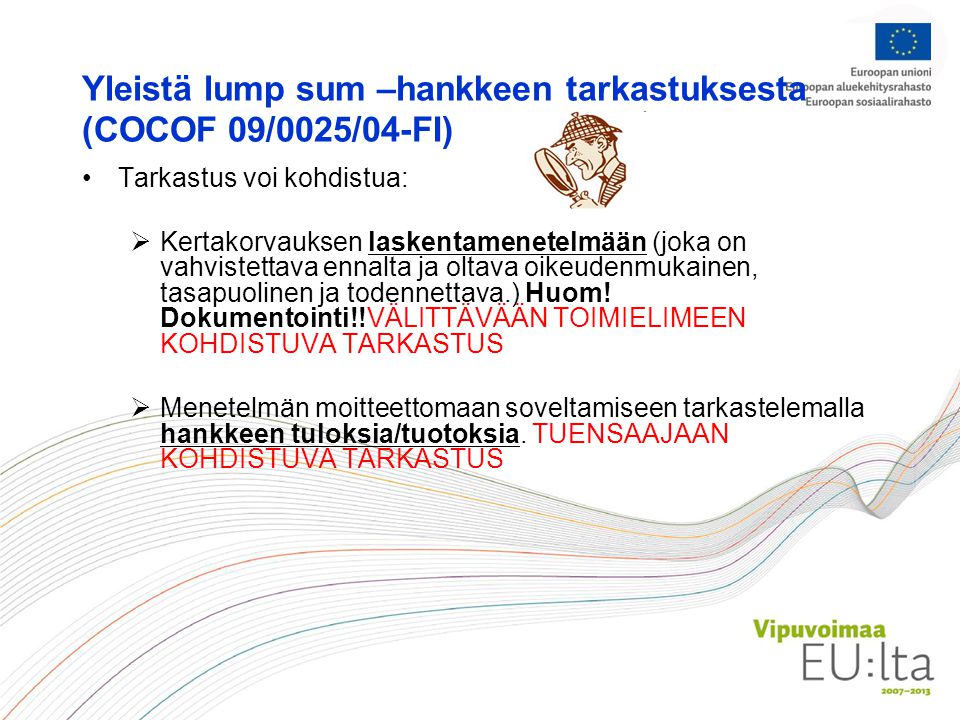Yleistä lump sum –hankkeen tarkastuksesta (COCOF 09/0025/04-FI)