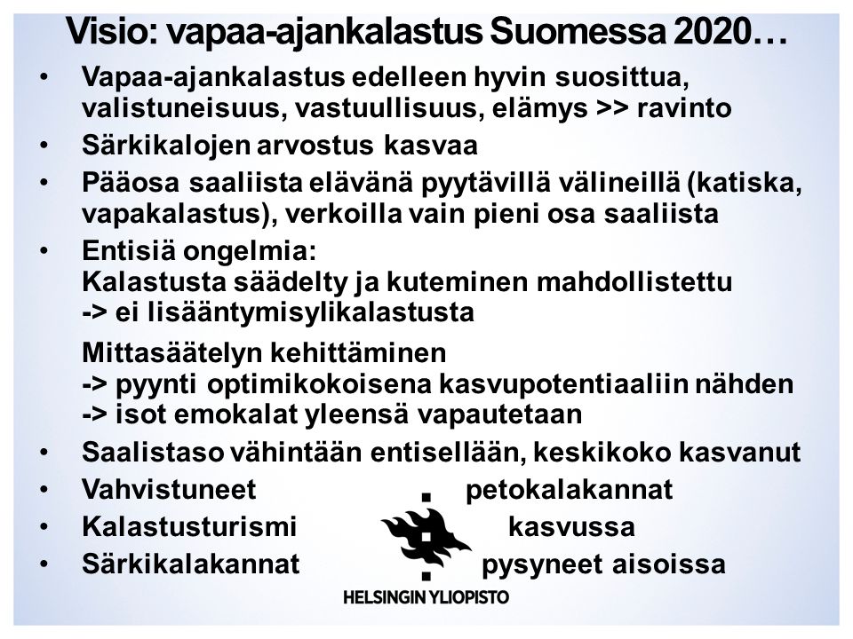 Visio: vapaa-ajankalastus Suomessa 2020…