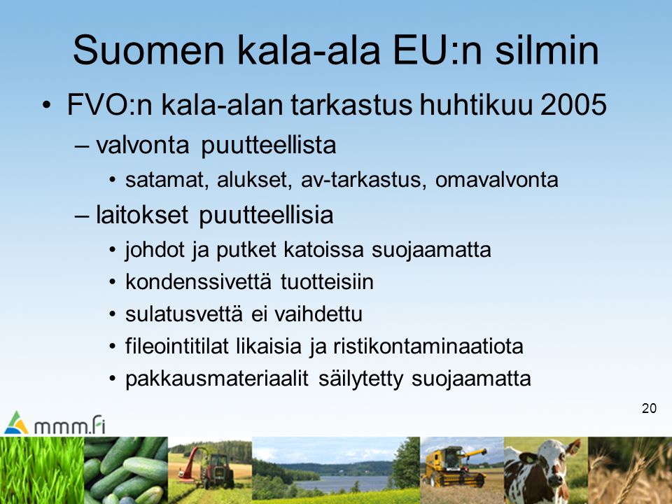 Suomen kala-ala EU:n silmin