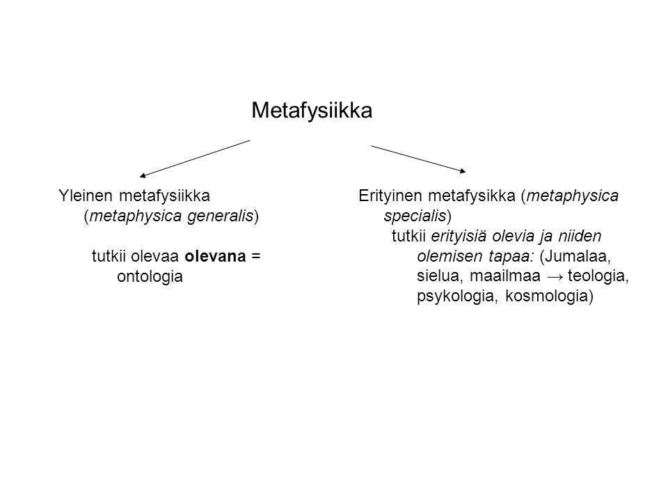 Metafysiikka Yleinen metafysiikka (metaphysica generalis)