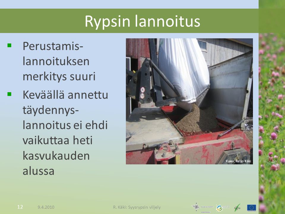 R. Käki: Syysrypsin viljely
