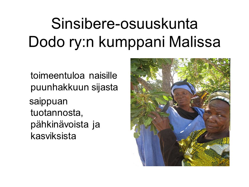 Sinsibere-osuuskunta Dodo ry:n kumppani Malissa