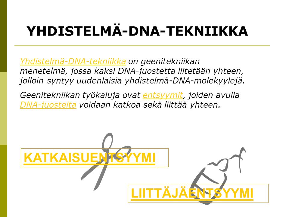 YHDISTELMÄ-DNA-TEKNIIKKA