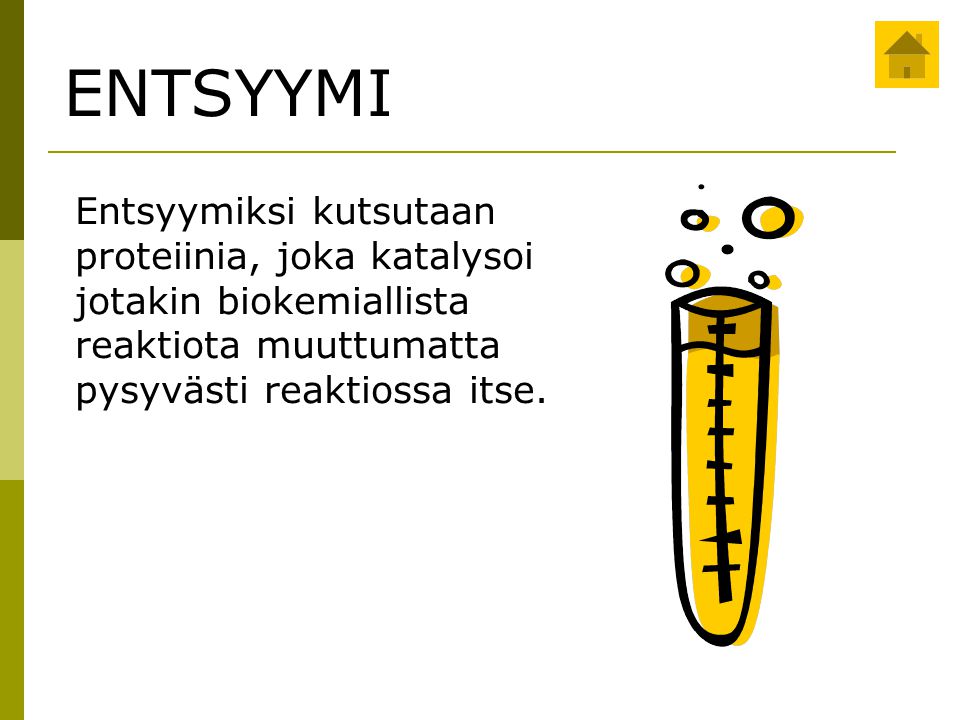 ENTSYYMI Entsyymiksi kutsutaan proteiinia, joka katalysoi jotakin biokemiallista reaktiota muuttumatta pysyvästi reaktiossa itse.
