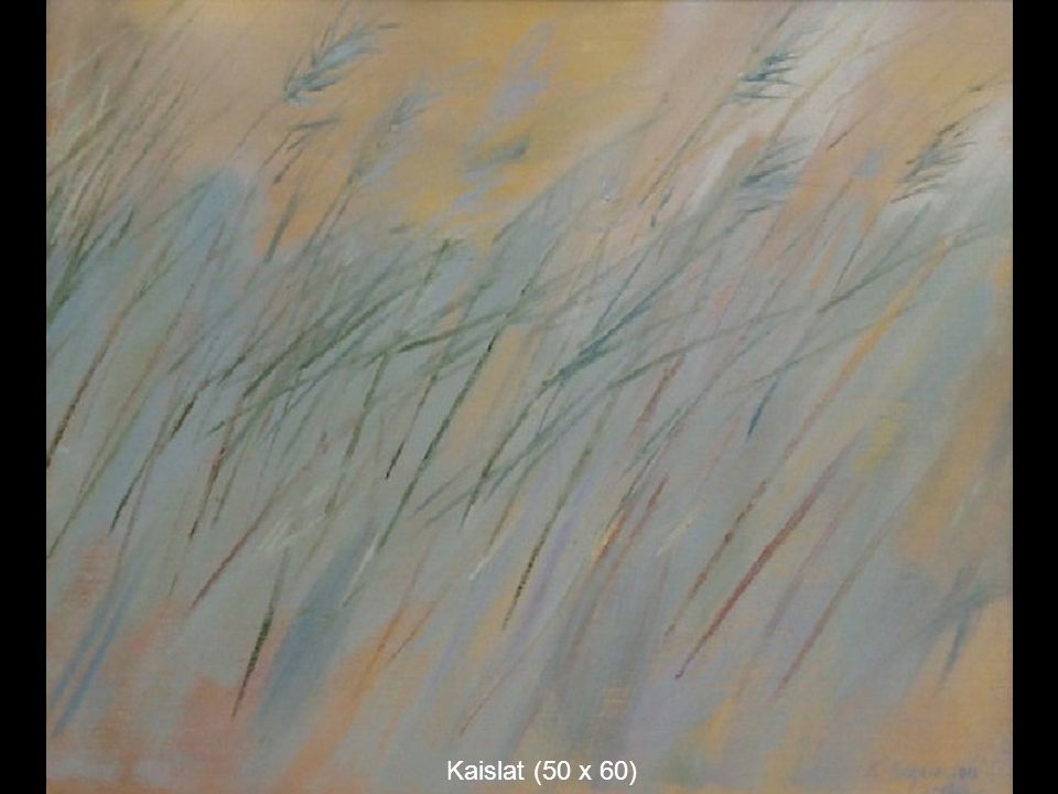Kaislat (50 x 60)