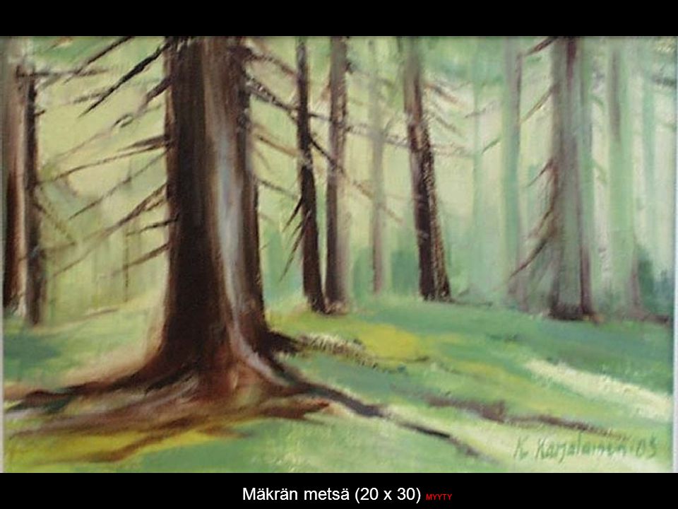 Mäkrän metsä (20 x 30) MYYTY
