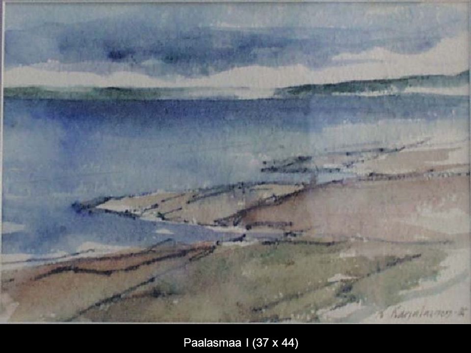 Paalasmaa I (37 x 44)